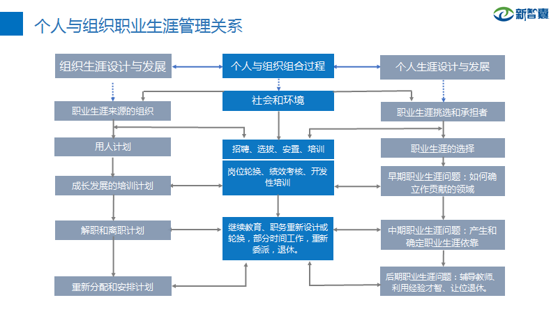 职业生涯规划-组织与个人