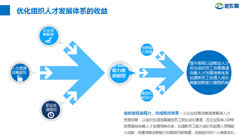 组织人才培养定位