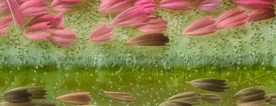 企业激励机制设计要领